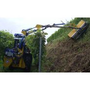 Machine pour tailler l'herbe, les buissons et les tiges jusqu'à Ø 3 cm