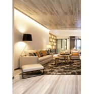 Ruban LED HEXALINE COB 60W 24V - Éclairage uniforme en ligne continue avec confort visuel inégalé_1