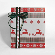 Papier cadeau Edimbourg 0,70cm x50m_1