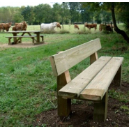 Banc Campagnard en bois - Pin traité autoclave classe 4 - Piétements 120x120 mm - Lames 45x195 mm_1