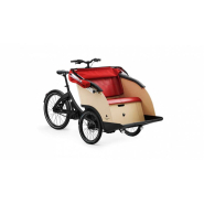 Triobike Taxi - Vélo taxi électrique pour personnes à mobilité réduite ou âgées - Conçu à Copenhague avec câbles antigel et traitement anticorrosion_1