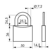 Cadenas à clé type 1+ 50 mm - corps laiton monobloc - anse acier cémenté nickelé - marque Thirard_1