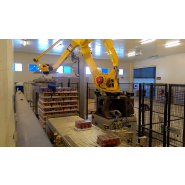 Palettiseur à robot avec pince - FL-PAL F.B.L. Food machinery_1