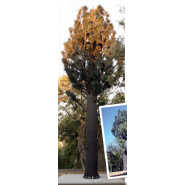 Pylônes arbres accès intérieur pin - accès nacelle - 9 à 30 m - 6 antennes panneaux_1