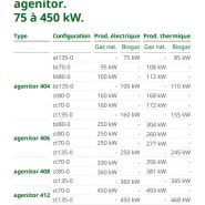 Agenitor - Groupe électrogène industriel 2G Energie SAS - 75 à 450 kW - Haut rendement et moteur à gaz optimisé_1