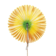 Décors assortis pour glaces Eventails bois 7cm - par 144_1