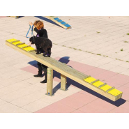 Balancier edu can agility parcours canin_1