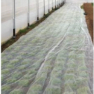 Filet anti-insectes Climabio* - 50m x 2.20m - Protection cultures plein champ et sous abris_1