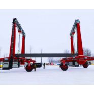 Grue à portique série SB avec capacité de 30 tonnes à 200 tonnes