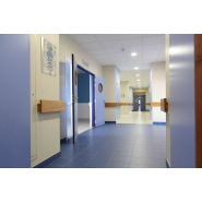 Bloc-porte coupe-feu EUROFLAM EI30 - 30 mn - Feuillure en Pin, Hêtre, Bois Exotique Rouge - Cloison en Acier_1