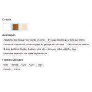 Clôture PVC CL 03 C / TYPE 06 C - CG Pro - Claire voie avec embout plat ou bombé_1