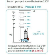 Poste de relevage avec pompe dilacératrice - 304253_1