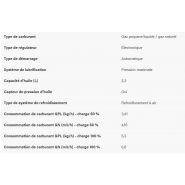 G140 groupe électrogène - briggs - tension (v) 230_1
