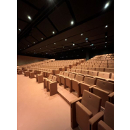 Fauteuil de salle de cinéma  pour un confort optimal_1