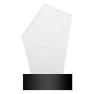 Trophée en acrylique - lampe LED multicolore - gravure laser incluse - minimum 25 pièces_1