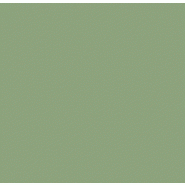 Peinture bois extérieur Climats Extrêmes® V33 - Vert Provence Satiné 0.5L - Glycéro, idéale pour conditions rudes_1