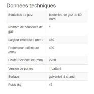 116949W - Armoire pour bouteilles de gaz DGF 1 - robuste, ventilée, avec serrure et chaîne de sécurité_1