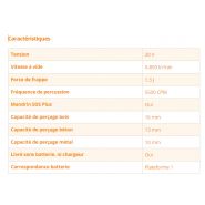 Perforateur & burineur - Feider FMPN20V - sans fil 20V - force de frappe 1.3J - 5500 CPM_1