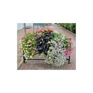 201330 - jardinières - procity - dimensions : largeur 300 x hauteur 260 mm
