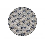 Clous podotactiles en inox 304L - Urban'NT - Ø 25mm - CL25 - résistants aux embruns marins_1