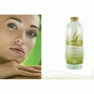 Désinfectant STERYLANE SAUNA 1 litre - Nettoyage des espaces humides, saunas et sanitaires_1