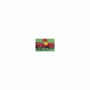 Fraise rotative Caroni FL1000ASC - largeur 1000mm - pour tracteurs 15-40ch - 24 lames_1