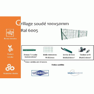 Grillage soudé maille 100x50mm Ral 6005 - 2000_1