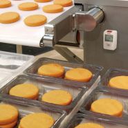 Mini-enregistreur de température KT50 - mémoire 16 000 points - affichage LCD - certifié NF EN12830_1