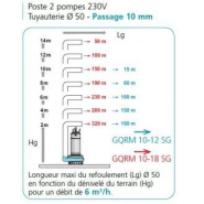 Poste de relevage eau claire : 2 pompes - 304275_1