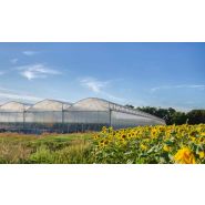 Serre multichapelles Asy-starter pour un état sanitaire optimal des cultures