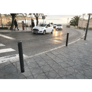 Borne Dalia - h314 - acier avec traitement Ferrus et enjoliveur inox_1