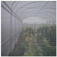 Filet anti-insectes - Thrips et aleurodes, 270x600 microns, 2.7 x 200 m, 130g/m² - Monofil tissé imputrescible_1