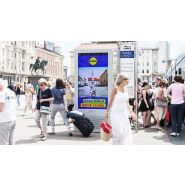 Borne interactive outdoor - modèle Flow75 - Viadirect - écran 55'' haute luminosité - IP67_1