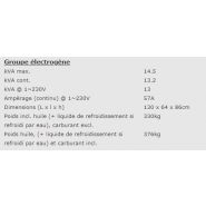 Ep163de - 951011601 - Groupe électrogène industriel Europower - 3000tpm, 50Hz, 4 temps, moteur diesel Kubota refroidi par eau_1