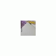 Papier canson aquarelle rag 310gr/m², a3