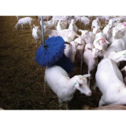 Brosse à vache rotative suspendue verticalement - SUEVIA_1