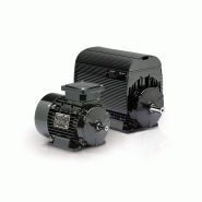 Moteurs synchrones PM IE4 - Haute performance - Lafert - Gamme compacte et personnalisable_1