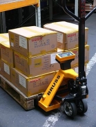 Transpalette peseur Bruss-Basic - modèle Barcelbal_1