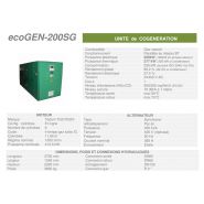 Ecogen-200SG - Cogénération - Cogengreen - Puissance électrique 200 kW (180 kW en groupe secour) - Unité de cogénération avec isolation acoustique et thermique_1