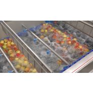 Fw - laveuses industrielles alimentaires - sormac - laveuse de fruit_1