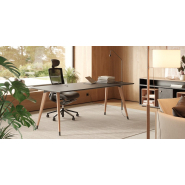 Bureau pour  ordinateur  : design moderne  et ergonomie pour un espace de travail optimal_2