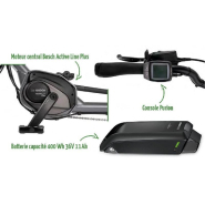 Tricycle électrique Roma - Moteur Bosch Active Line - Batterie Lithium-Ion 400Wh_2