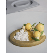 Ovale - Moule en silicone Gourmand Pavoni Italia - 9 empreintes_1