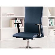 Fauteuil de Direction ATHENA - Ref : 125862_1