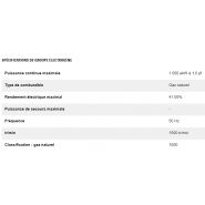 Cg132b-16 1 000 kw groupes électrogènes industriel à gaz - caterpillar -puissance continue maximale 1 000 ekw à 1,0 pf_1