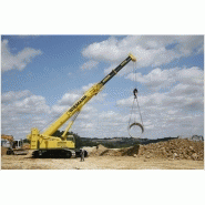 Ltr 1100 grue télescopique sur chenilles_1