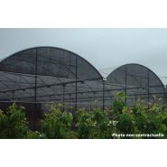 Grande serre bi-chapelle 9.60 m pour développement de cultures