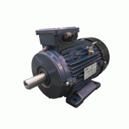Moteur électrique triphasé 230/400V - 4 kW - 3000 tr/min - MS100L22B3 - Bride B3 à pattes_1
