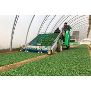 Récolteuse Slide Valeriana Eco Trax - Hortech SRL - électrique pour mâche - tracteur 15 kW_1