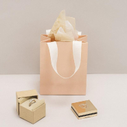 Sac luxe rose poudré mat poignées ruban blanc naturel 11x6x14cm - par 12_1
